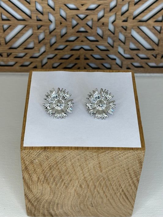 Boucles d’oreilles Marie-Jeanne